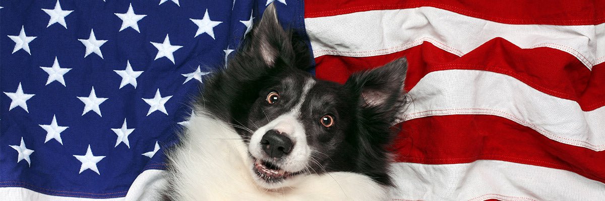 Canine Supplements - Parkmore Supplements