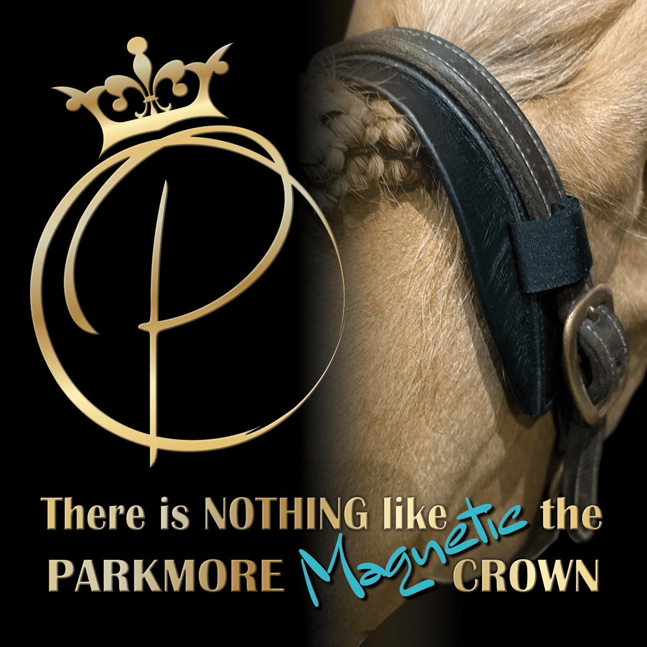 Parkmore EQ9 Magnetic Crown by Parkmore Supplements - Equine Tack