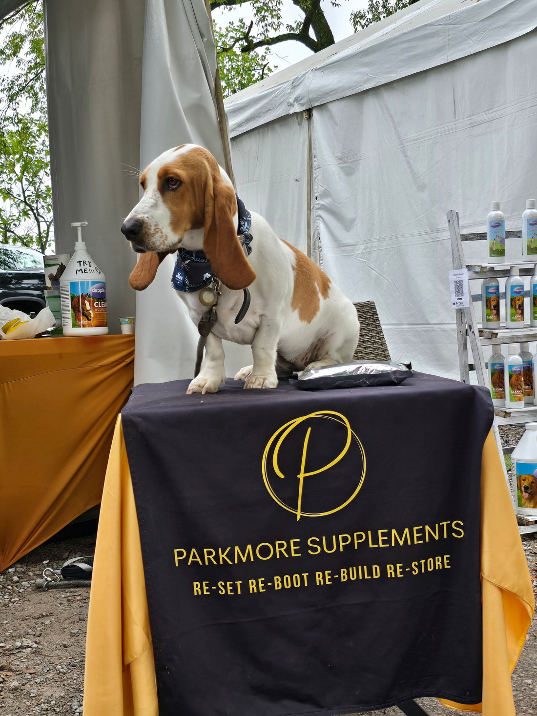 When They Can't Tell Us Where It Hurts - Parkmore Supplements
