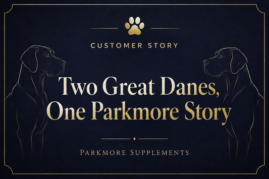 Two Great Danes, One Parkmore Story - Parkmore Supplements