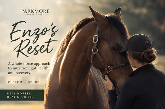 Enzo’s Reset: A Whole-Horse Approach to Nutrition, Gut Health and Recovery - Parkmore Supplements