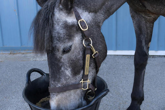 When Did Feeding a Horse Get So Bloody Complicated? - Parkmore Supplements