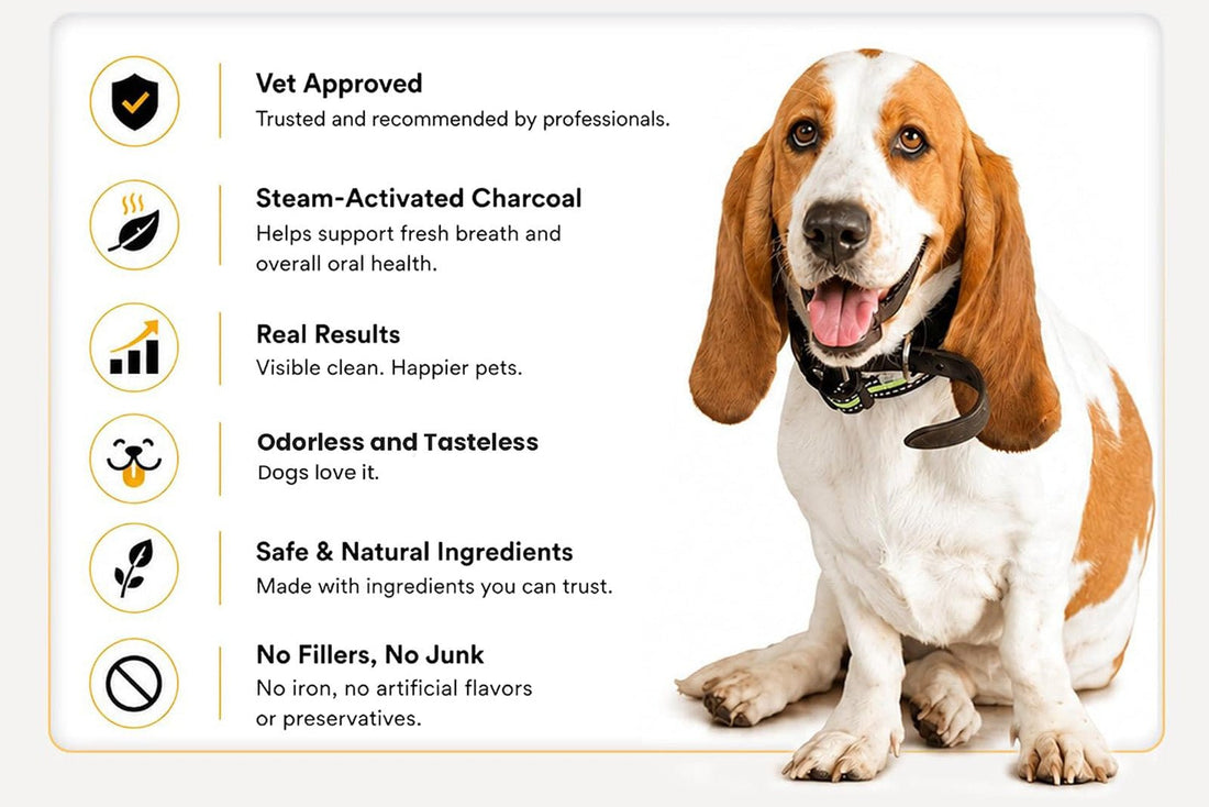 Why Parkmore Exists - Parkmore Supplements
