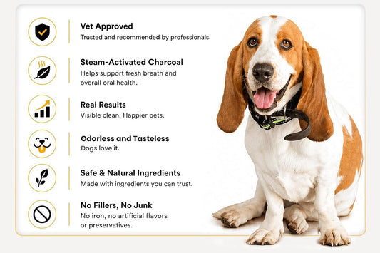 Why Parkmore Exists - Parkmore Supplements