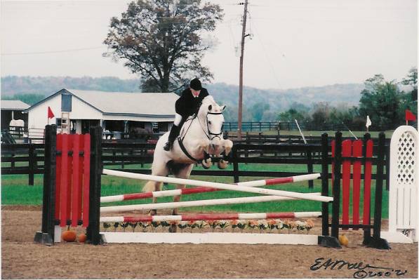 "I've spent my entire life with horses." - Parkmore Supplements