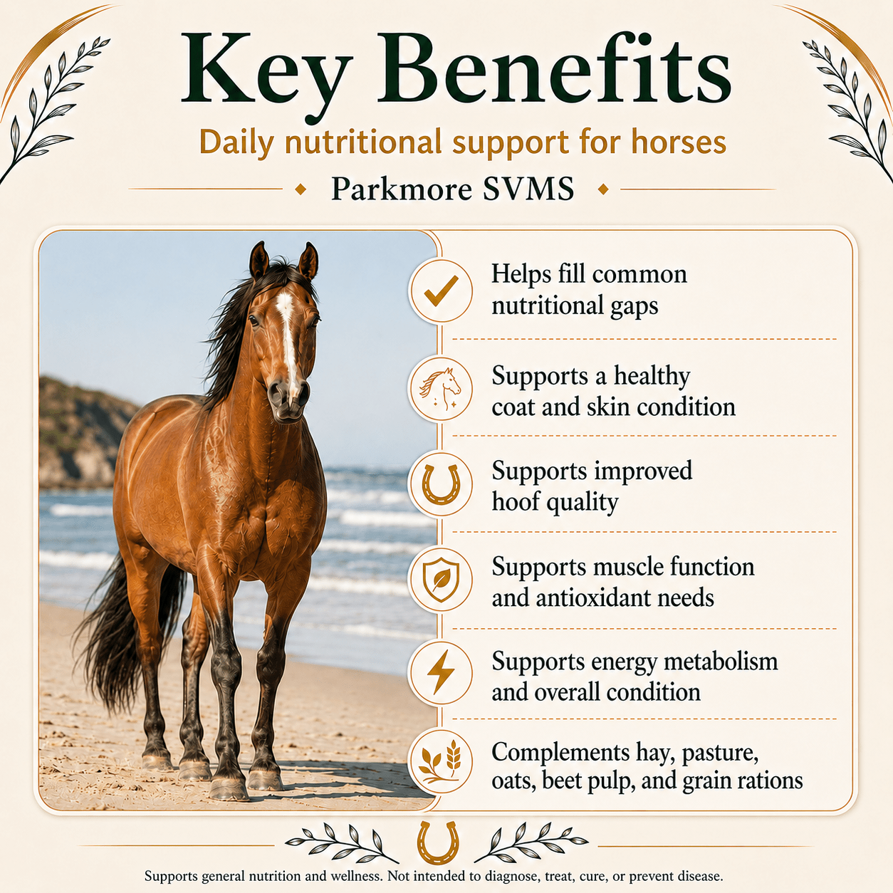 Single-Horse SVMS - Parkmore Special Vitamin/Mineral Supplement by Parkmore Supplements - Equine Supplements