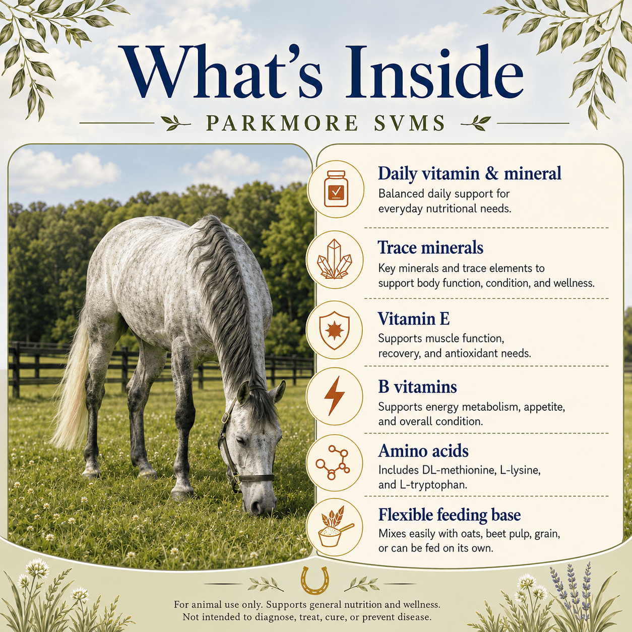 Single-Horse SVMS - Parkmore Special Vitamin/Mineral Supplement by Parkmore Supplements - Equine Supplements