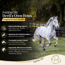 Parkmore Devil's Own Detox (Black Gold) by Parkmore Supplements - Equine Supplements