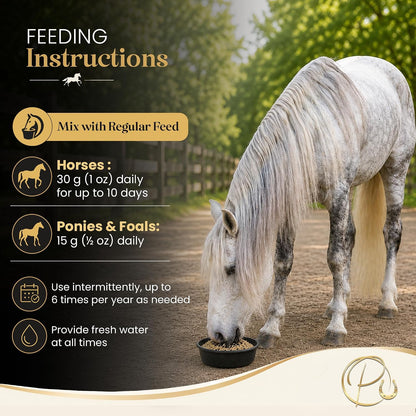 Parkmore Devil's Own Detox (Black Gold) by Parkmore Supplements - Equine Supplements