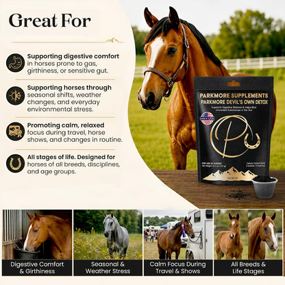 Parkmore Devil's Own Detox (Black Gold) by Parkmore Supplements - Equine Supplements