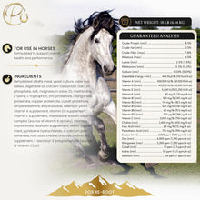 Single-Horse SVMS - Parkmore Special Vitamin/Mineral Supplement by Parkmore Supplements - Equine Supplements